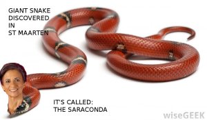 sarah 'the snake' wescot williams