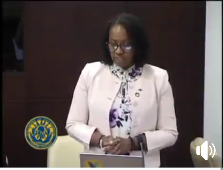 Video 4 GEBE Bobol In Sxm Parliament of Sint Maarten Prime Minister of St. Maarten - Silveria E. Jacobs Part 3 of 6

